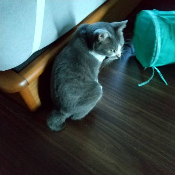 2a5698fe 3be0 4135 9f1f 064033521da9 1635457863392