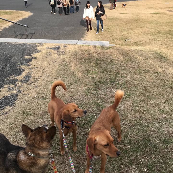 2a56a6a3 97b7 4f58 8cb1 f7bb21cc9419 1511074433052