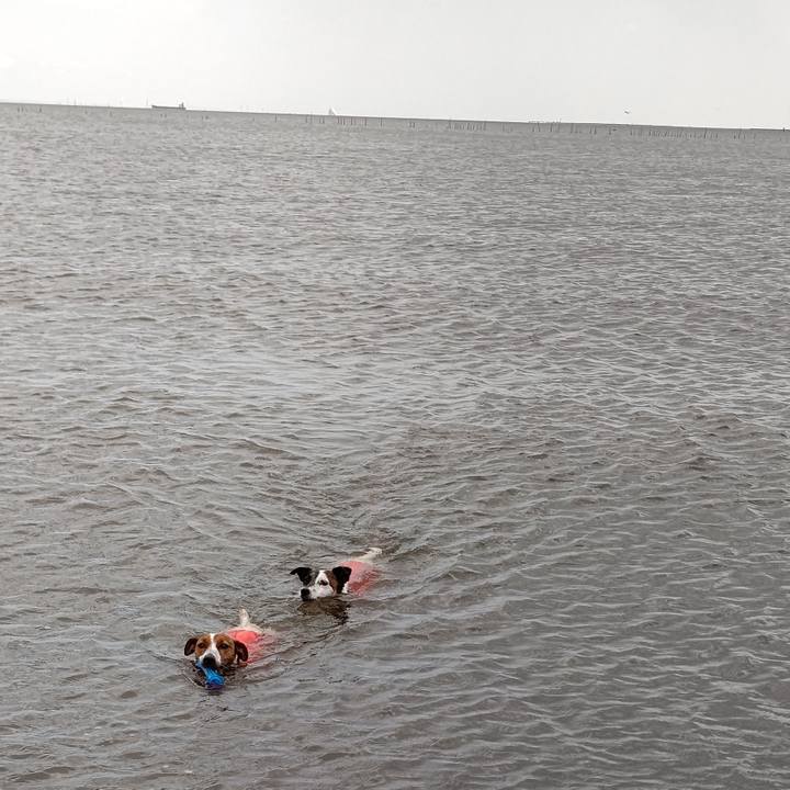 2a56bb7f 8d0c 4074 ad31 458ff38acc01 1655012967496