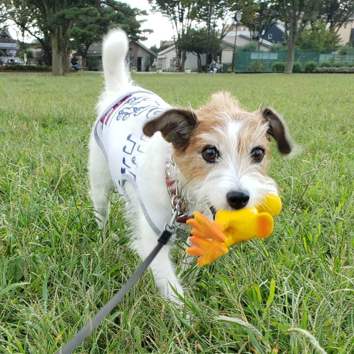 2a56e1f0 7a51 4aa6 a0e2 381f2f319177 1758963943706