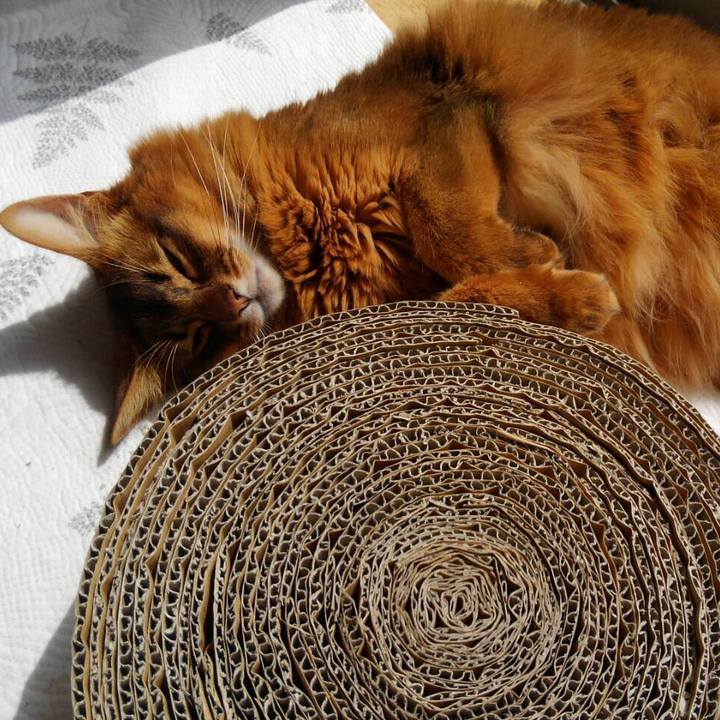 2a56e30e c952 4345 8ce4 c9392acf11eb 1617058021161