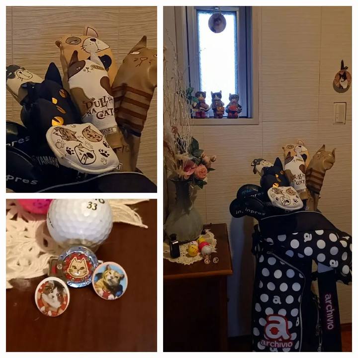 2a56f971 0eec 4ff8 a4e0 dab7aed5337b 1689327097484