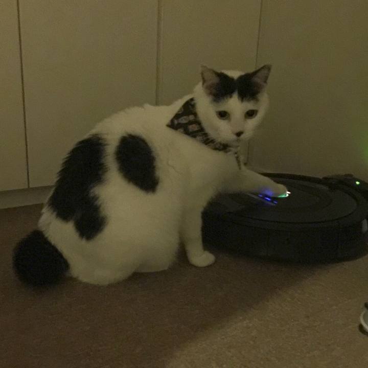 2a56f9f2 bb57 40c4 9062 fe639f9ee82f 1510496032561