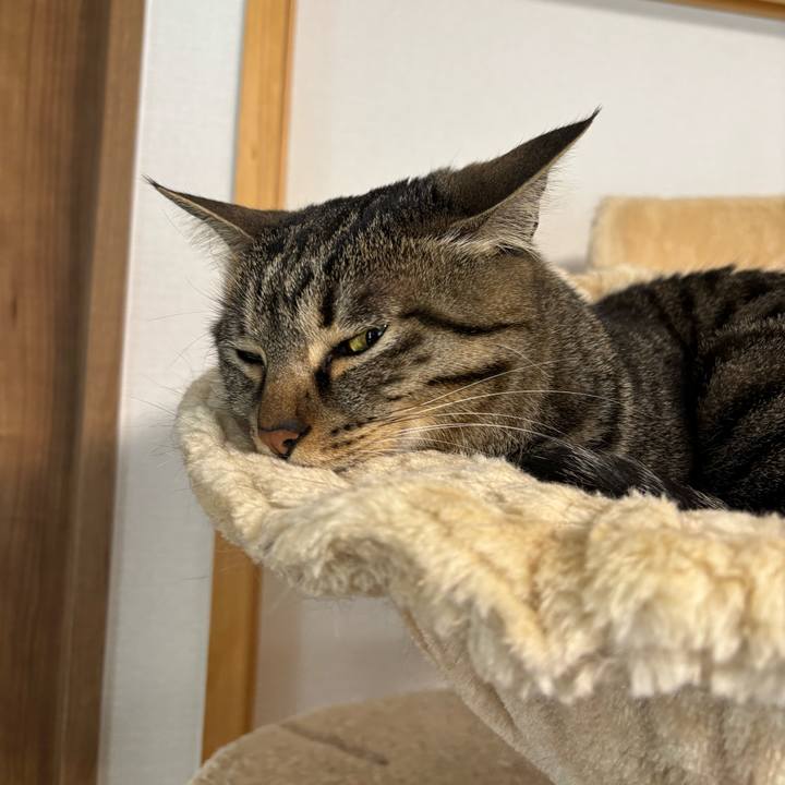 2a57023f 3ba1 4cb3 a26e b3e7ff674541 1772762776115