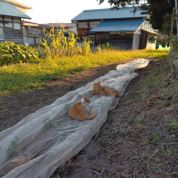 2a572abf bb72 415e b379 8d960ad7c245 1754732281204