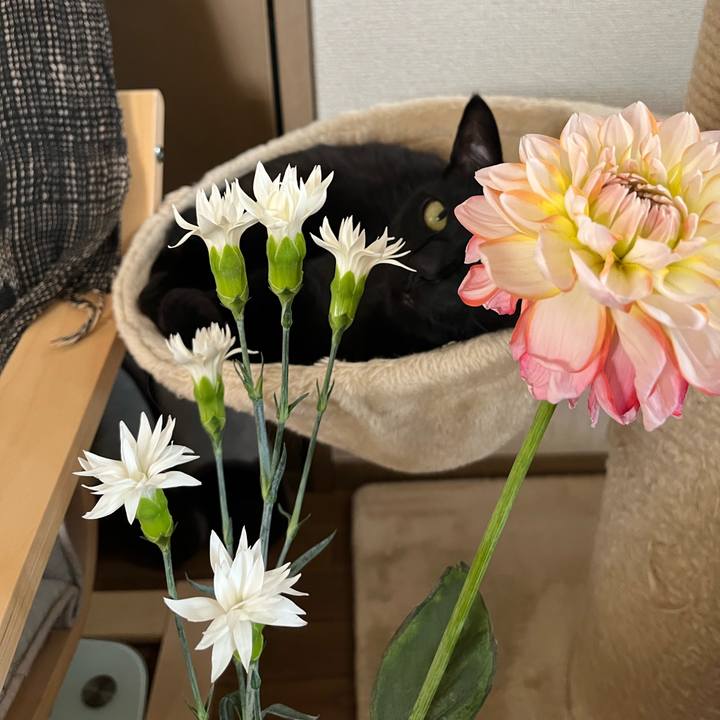 2a5763d1 4692 4e92 8767 c75f904437b4 1745915494831