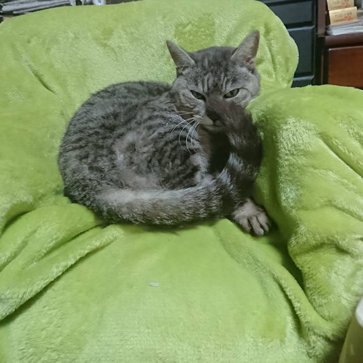 2a5765b3 d038 4142 ade8 84700726453c 1587986941465