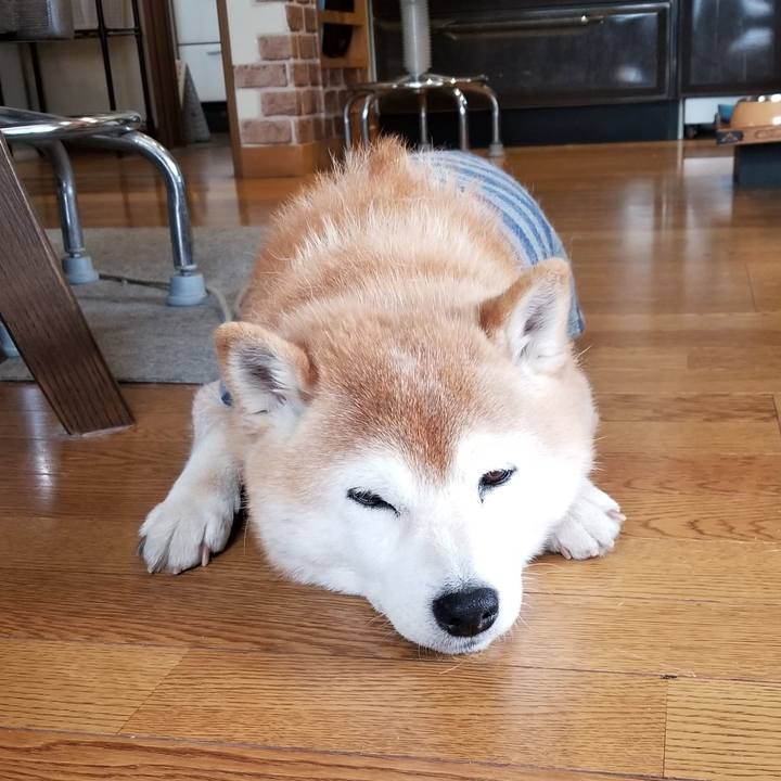 2a578ce3 24d6 4fd1 956e 7557525d3148 1676252450877