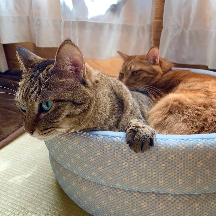 2a579609 61ba 4fde b52b 6106fa525870 1571713066185