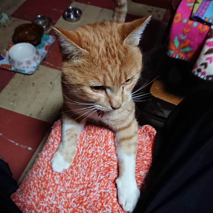 2a5797f9 162c 4316 a01c 4d9a49e9ba01 1574540969069