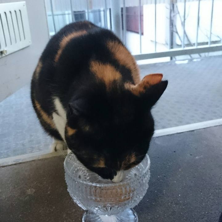 2a57d7bd e78a 404f a04d 45bdc29c67c7 1516765165445