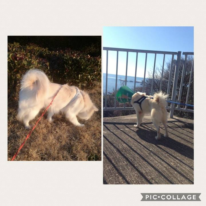 2a57e6de e289 4a63 9886 4c273d9abb81 1517998708961