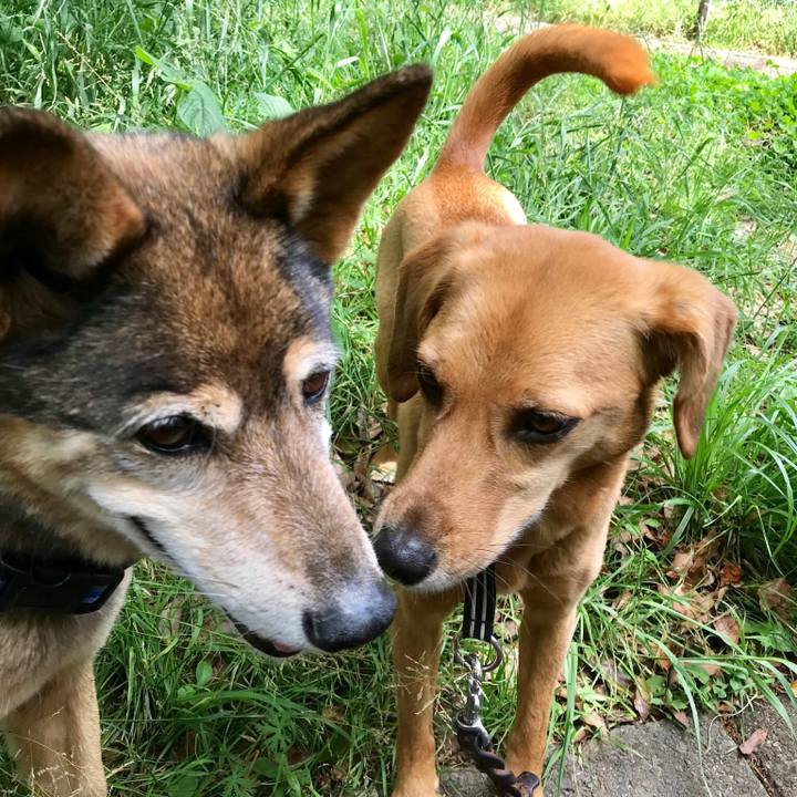 2a57eb82 29c0 4154 9c02 0143378ee1b0 1527123623823