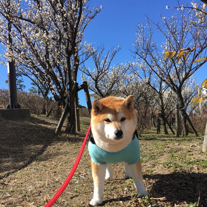 2a57f610 9bb9 4cc6 801a 9913725372ee 1581225336011