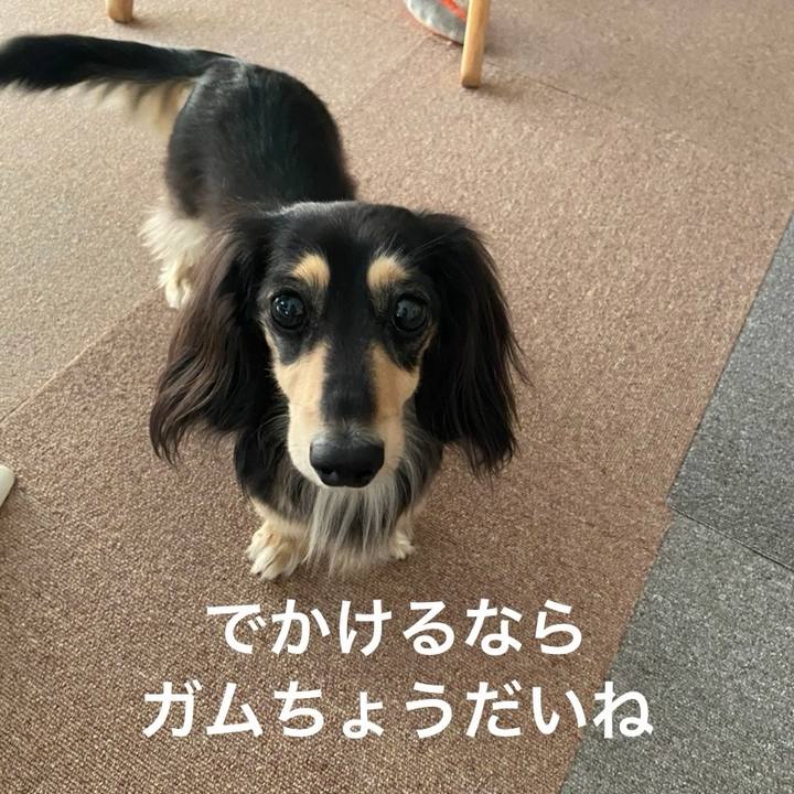 2a5809e5 6b1d 41e3 9b2b 1006c6901055 1740540486142