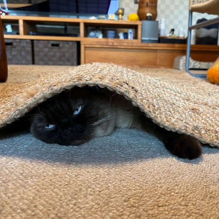 2a583551 7add 4db2 b574 144d1dd0be7f 1654388897126