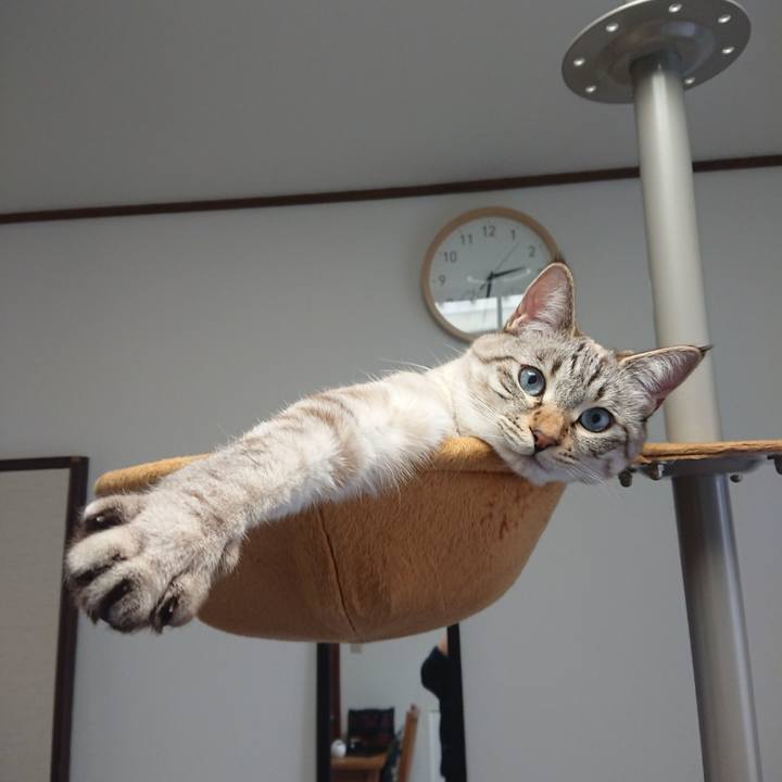 2a587b96 7089 4105 9539 0038ae073239 1545456882393