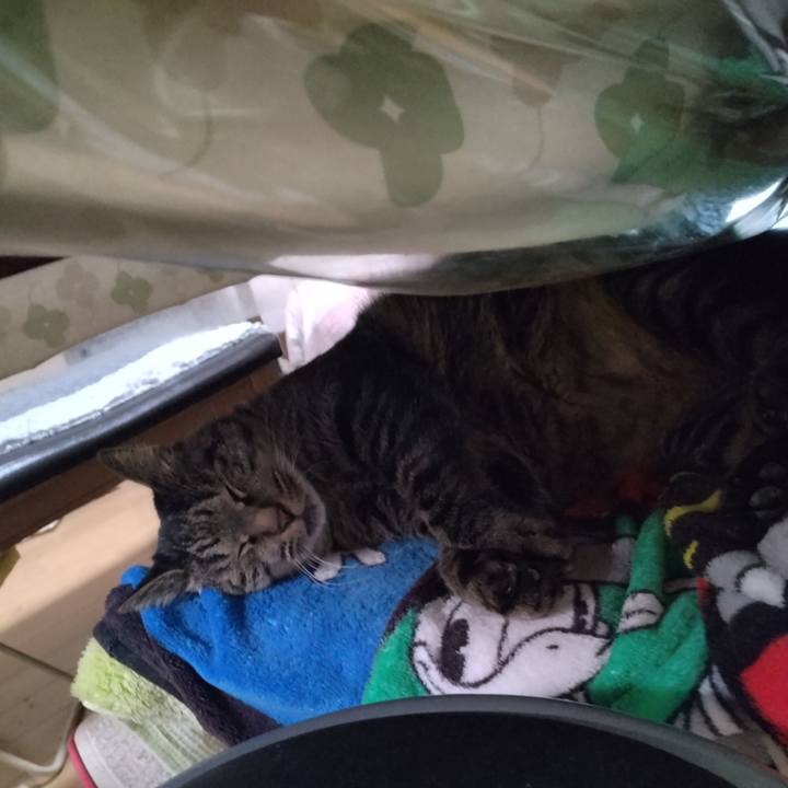 2a58b0ee 0d5b 4ae1 aabd 44a6f9bb9b7c 1666655376227