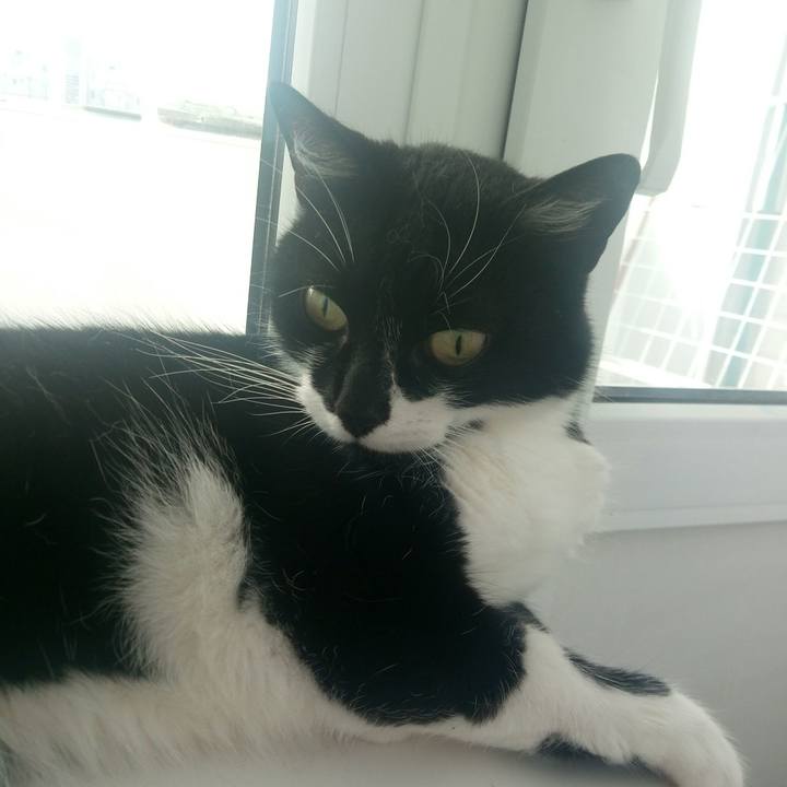 2a58b635 254b 48b8 af83 e6a299e9651b 1559482267730