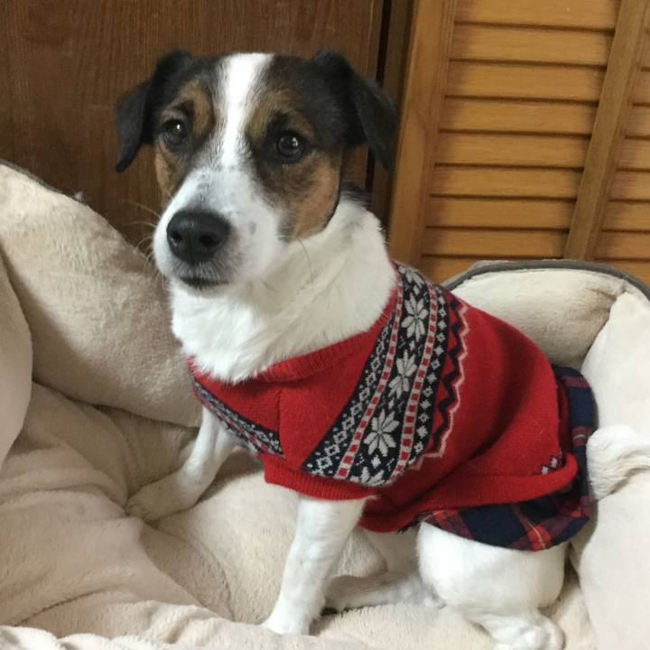 2a58cf65 c7dd 42d8 868a 815c34bd25e5 1547076216140