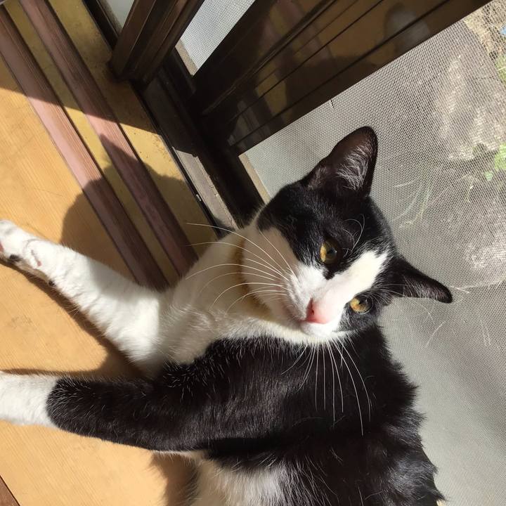 2a593ce6 0a4a 473e b391 5bfc75ed51a7 1649657153246