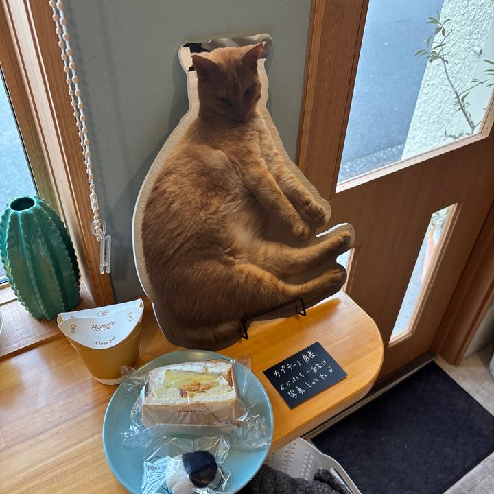 2a593e5d 835c 4c5a 8d09 91a3b90b510f 1771726757493