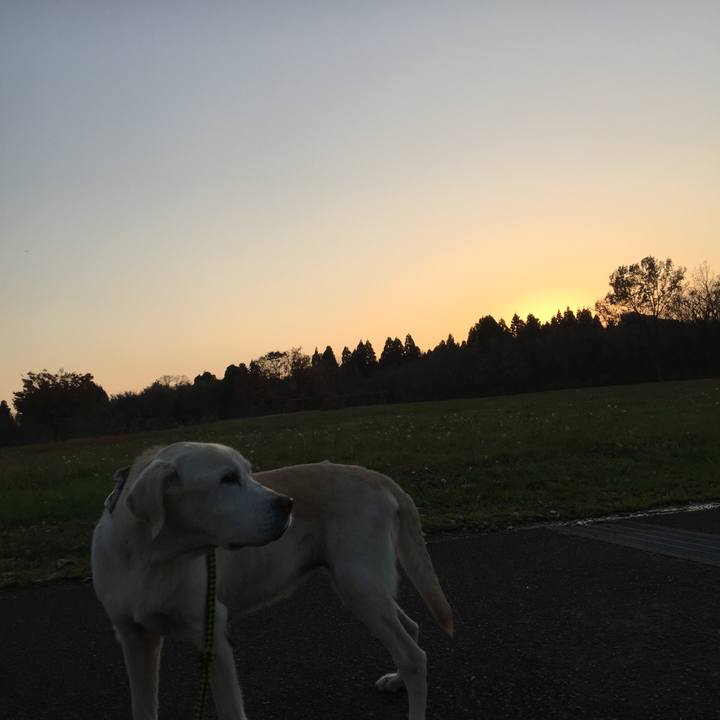 2a597c1d eb42 4445 9e1f a4f2e627fb5b 1543310030959