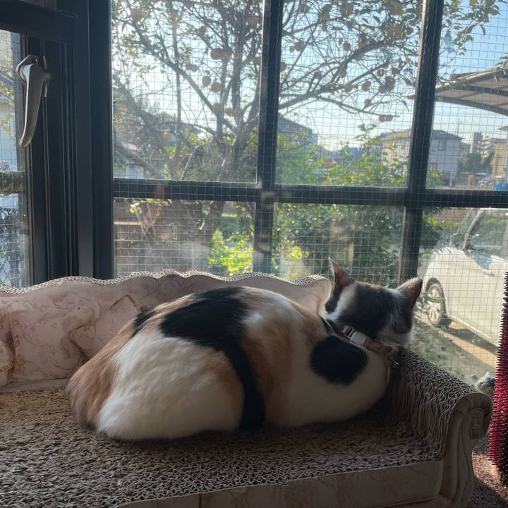 2a59b6bd fb5e 446a 8297 ceb3c361748d 1698359875746