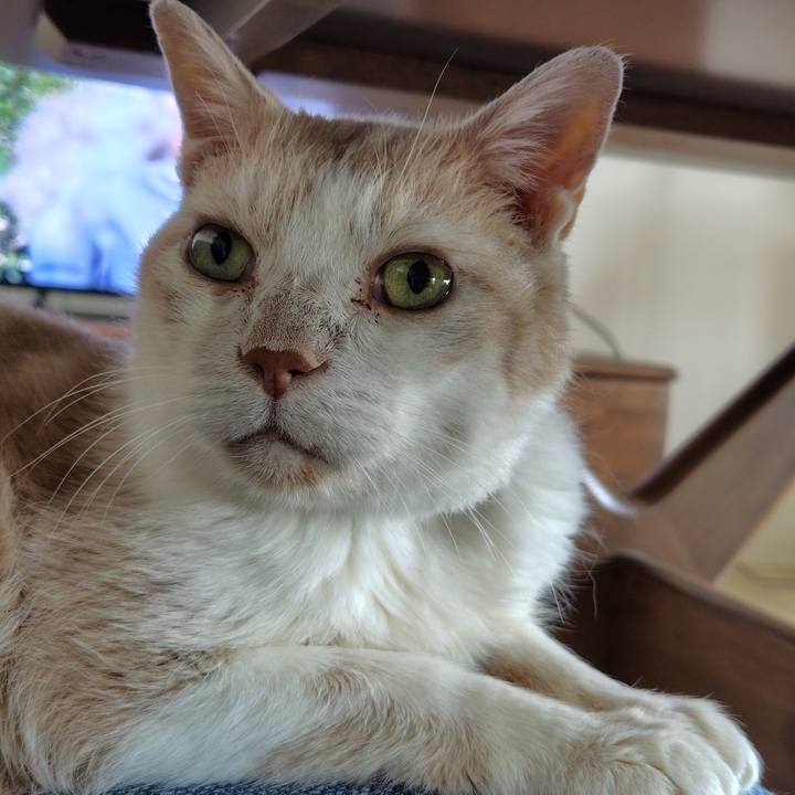 2a59c029 c410 45ee 88b9 9b0f3c0ba733 1750285505273