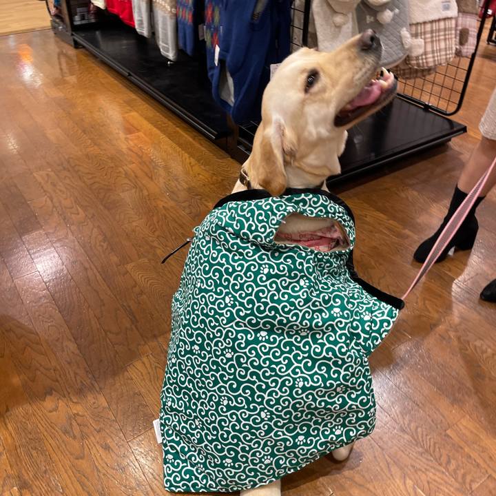 2a59f893 24c5 43f5 bf47 e04b7e7b8b3f 1666356004502