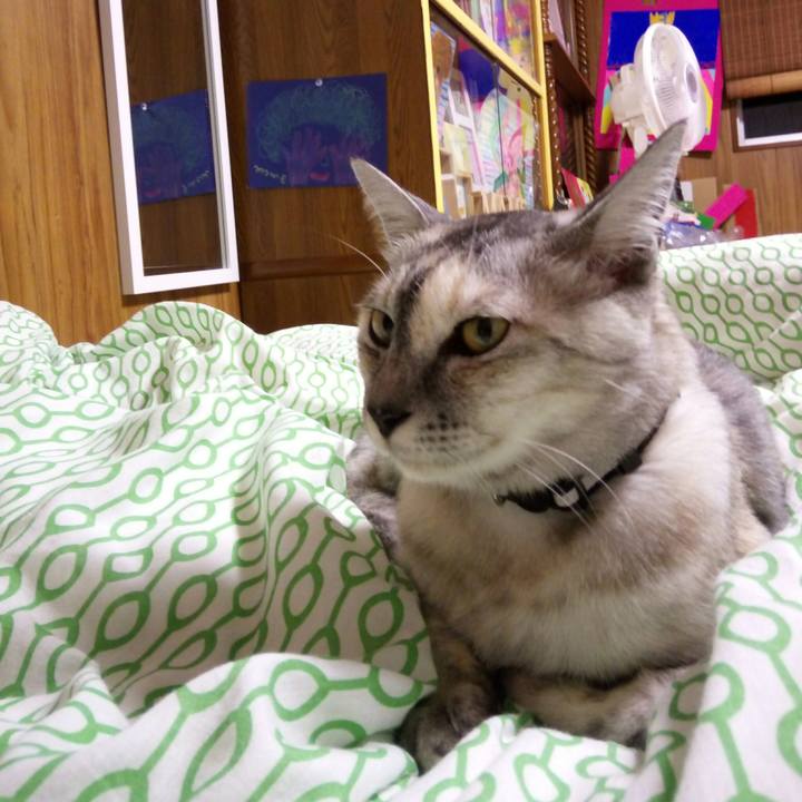 2a5a3645 66c8 4de7 9a39 59c2a4d96e6d 1536583948010