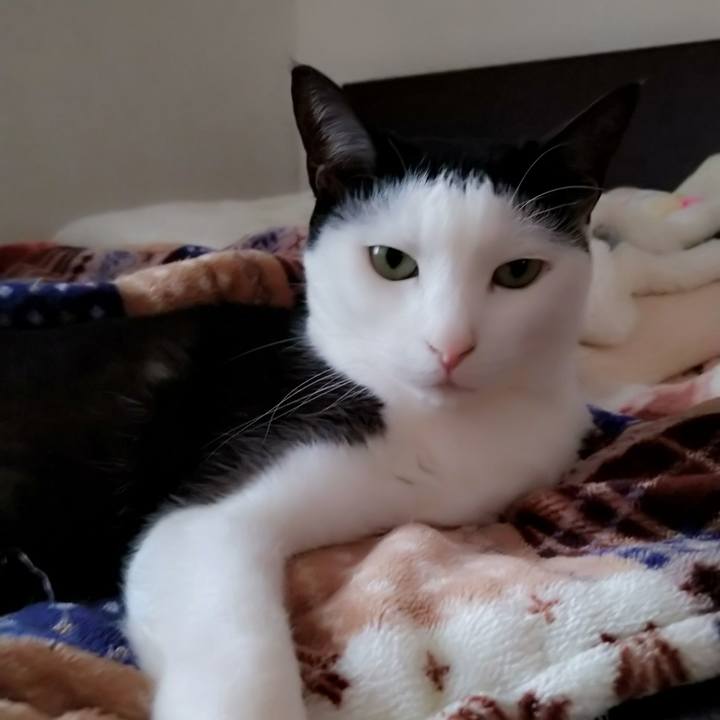 2a5a894a aff0 4ef6 9709 9ebd92b30d34 1610685577520