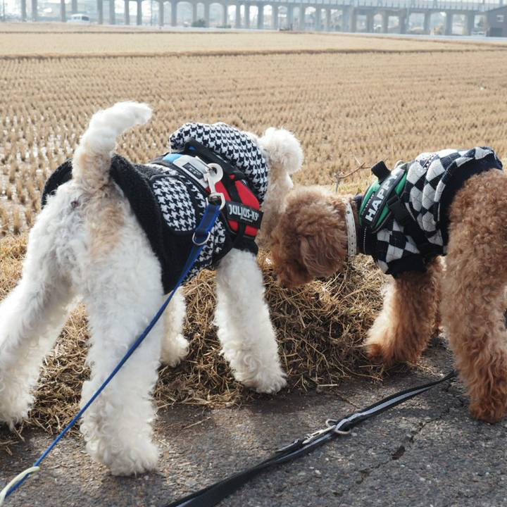 2a5a8af8 e741 4121 b322 b8621fc61e78 1516415669954