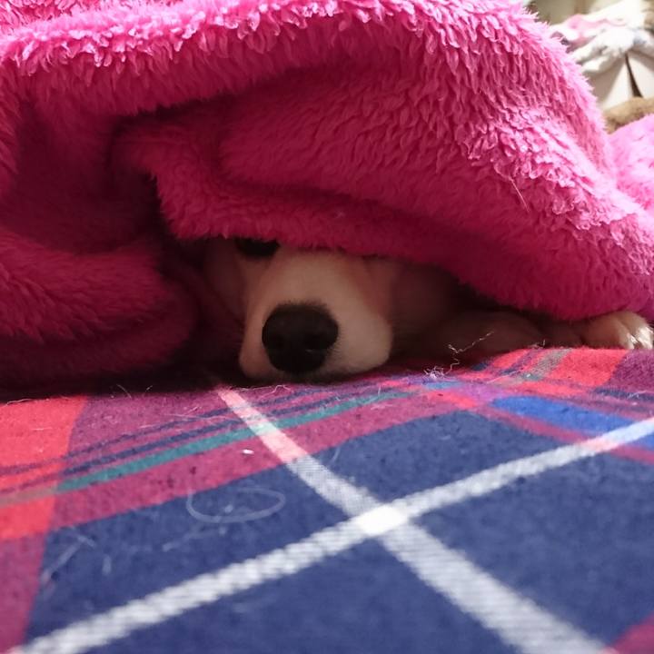 2a5aa185 87c3 40cc 8a48 c70f70454081 1515184757536