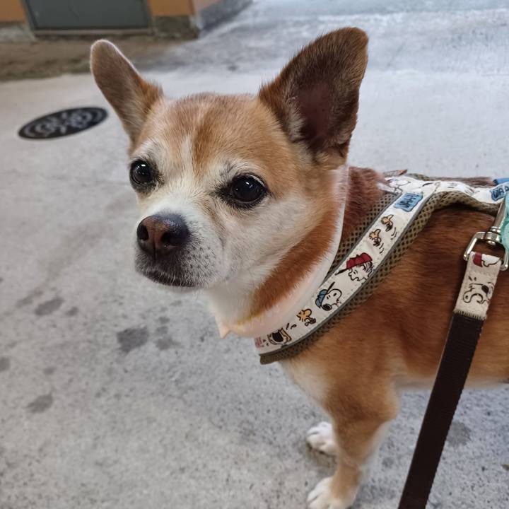 2a5af92e 9b57 40a2 a57b cb2cbecd67e2 1752442330502