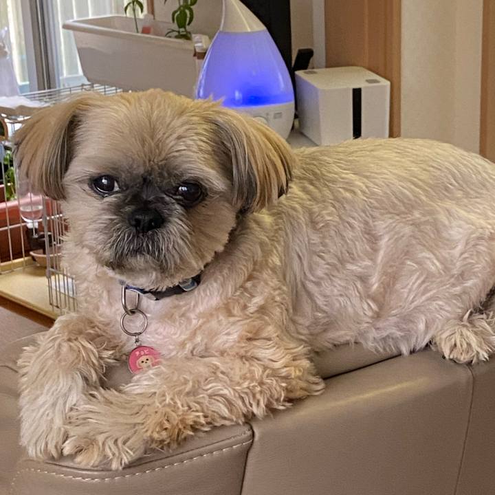 2a5b0a6e 8650 4479 b1d3 1c6d52139c7a 1672368189160