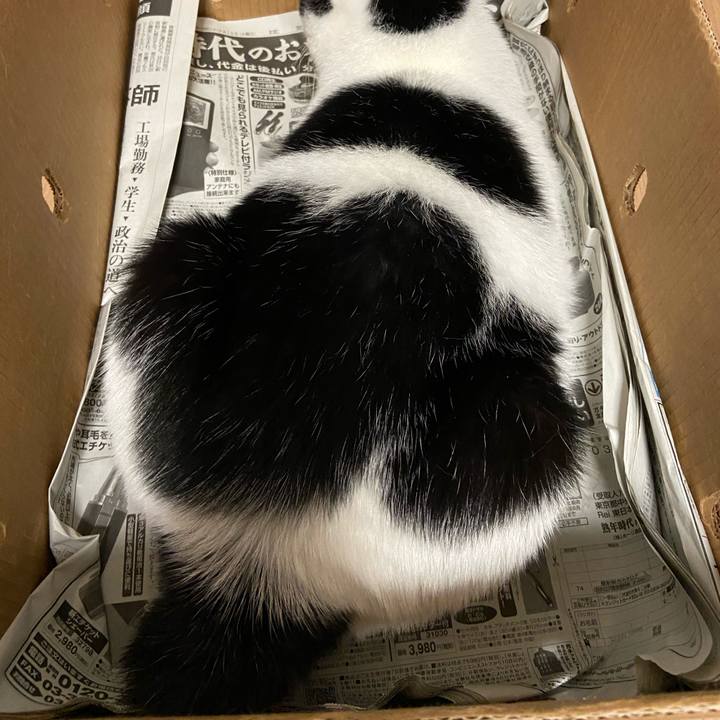 2a5b14f3 b227 4d0b aa08 59e4c33f85de 1602157739570