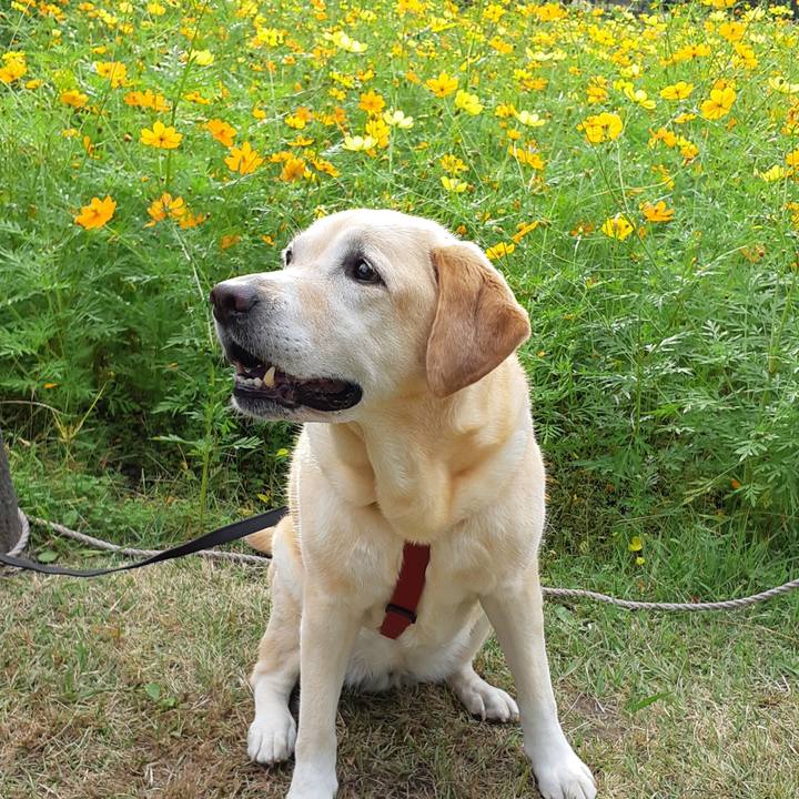 2a5b2df9 fa6d 4b99 944c 44107960cf13 1665723940790