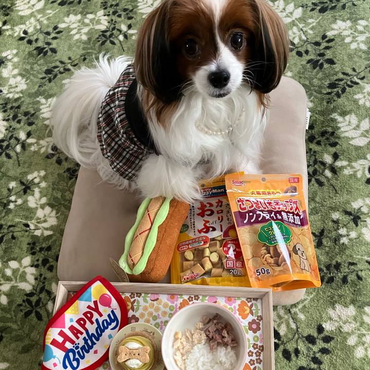 2a5b5d92 abcc 4bb7 8a29 be17692b5ebf 1737338646827