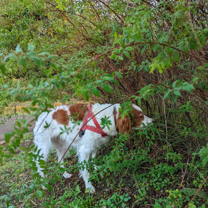 2a5b61dd a4eb 410e 9218 ccd41486d5a4 1636762700692