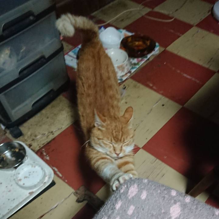 2a5b9d97 5c81 41d9 a12e e6ca5f2f02fd 1594410817702