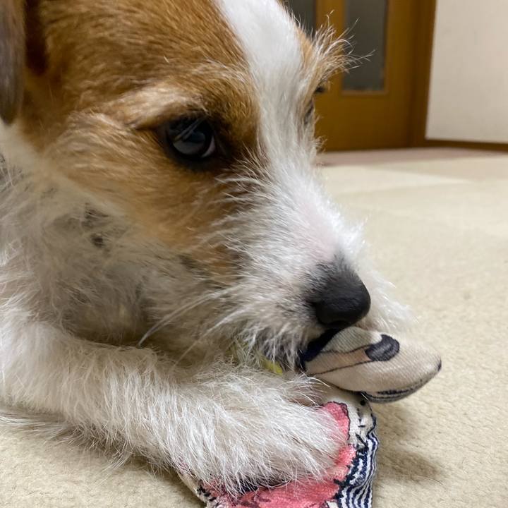 2a5bb083 9b30 4ca4 8338 8a43b516f454 1674305405484