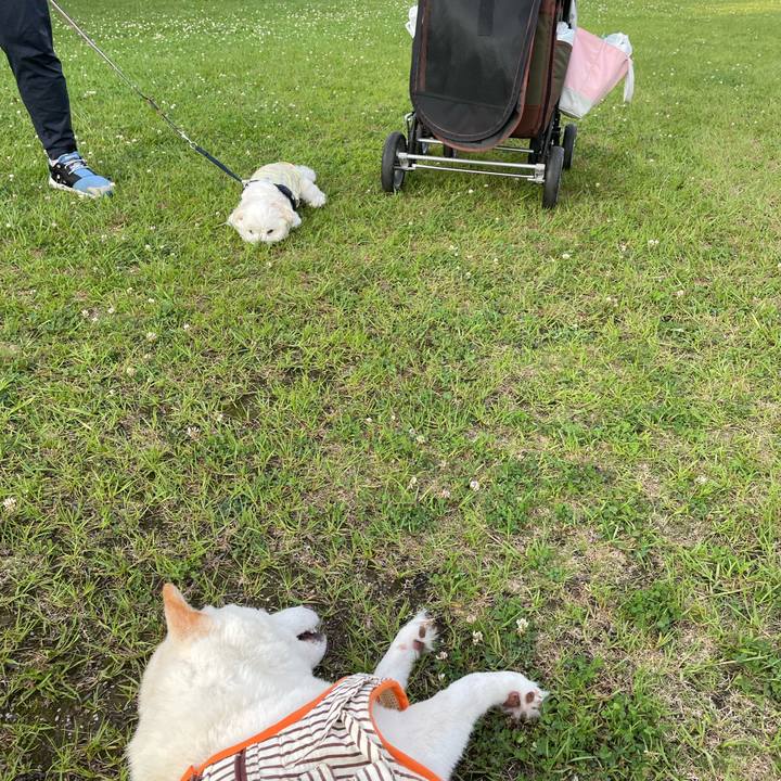 2a5bcd27 3d7f 4f13 9ac3 bc27adf32601 1655904543711