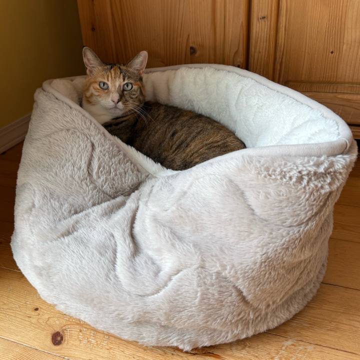 2a5bcfca c3dd 402a 9b5a c074e88d549e 1760915161358