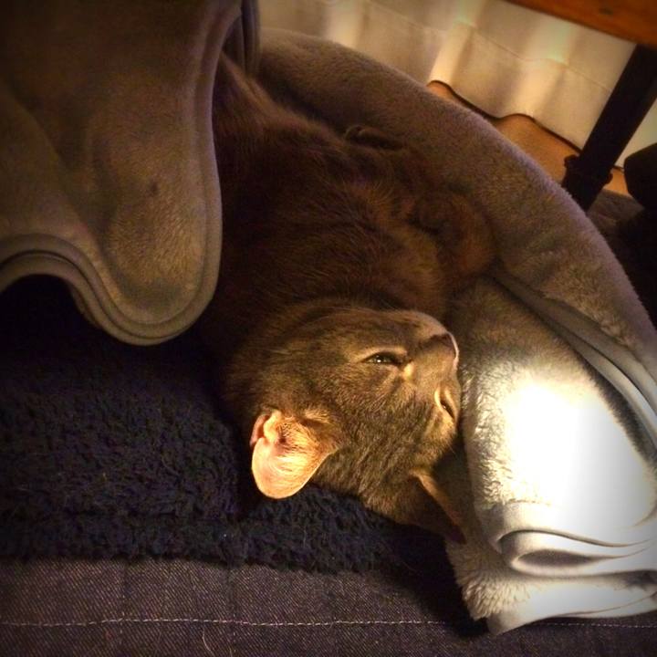 2a5bf031 802b 42af 80e9 75941a6d25ed 1509279394491