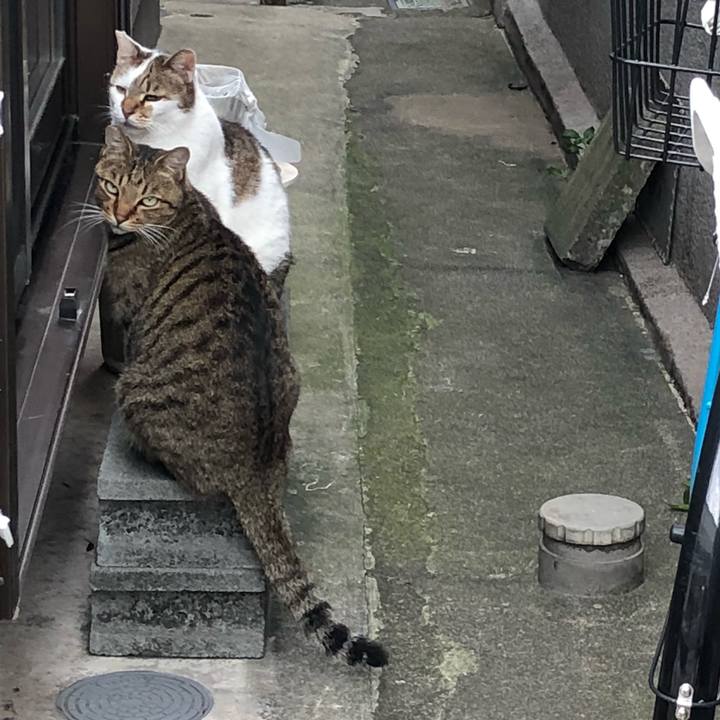 2a5c0745 4482 4fac a9ab f9e3fb1b14ab 1538570921049