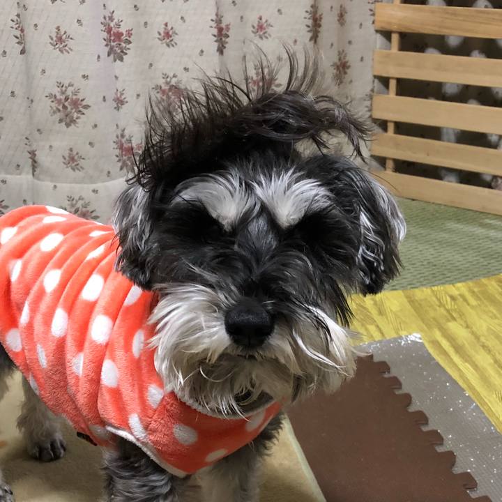 2a5c9431 b1ff 4255 8987 d843f79441c9 1520421362276