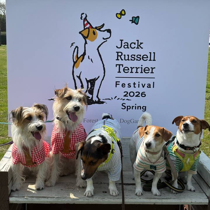 2a5cb0db 5330 413a 9aa5 645d06a72b22 1774754008080