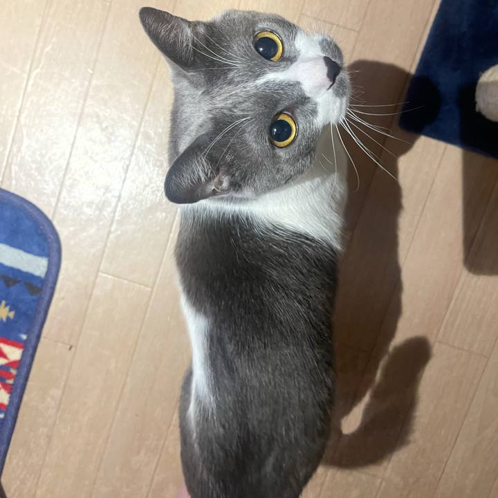 2a5cc225 734e 4c42 a1ba 6c440b1d46e2 1631048390416