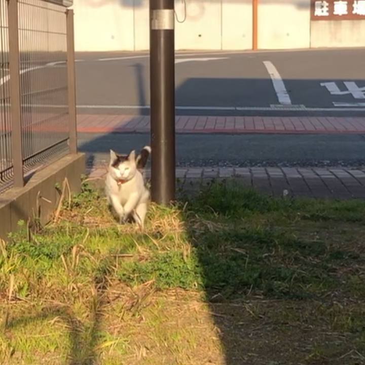 2a5cee6f 7b15 4bf4 ad22 e722da180db2 1613865745032